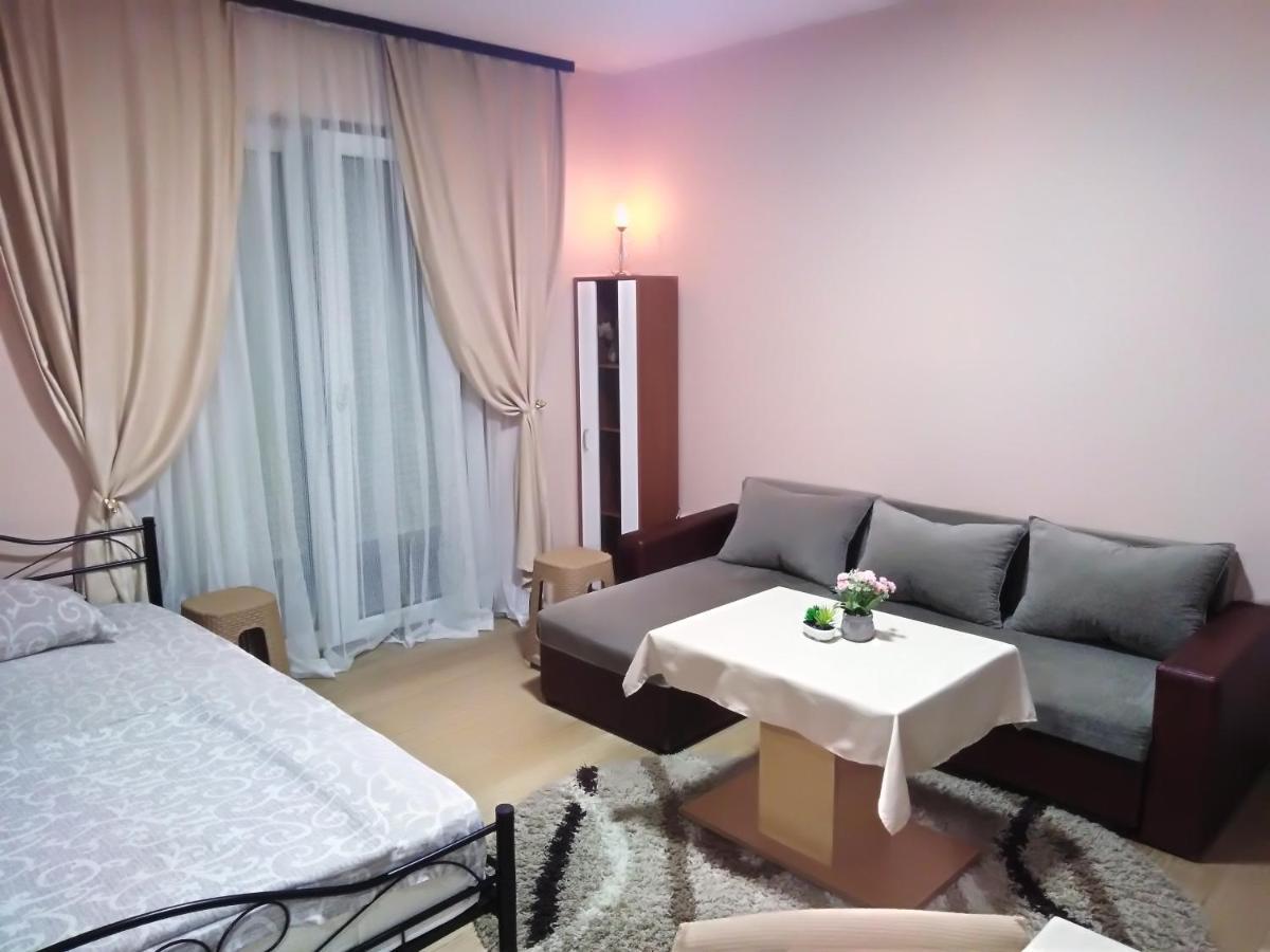 Apartman 1 Apartment Vrnjacka Banja Exterior photo